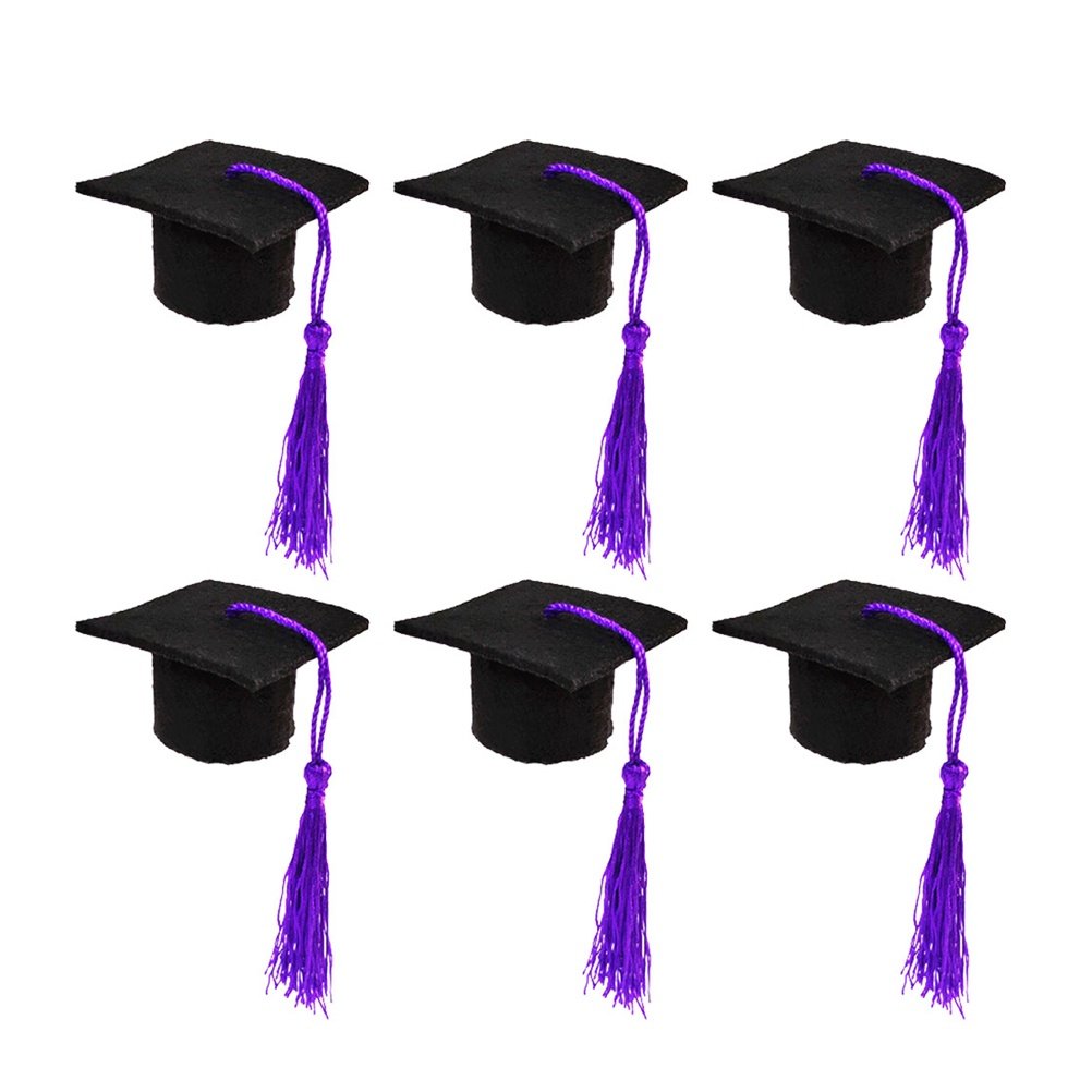 6Pcs Doctoral Wine Bottle Cap  - đánh giá và giá Wine Beer Hat