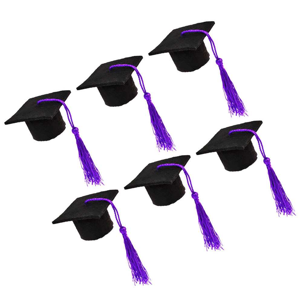 6Pcs Doctoral Wine Bottle Cap  - đánh giá và giá Wine Beer Hat