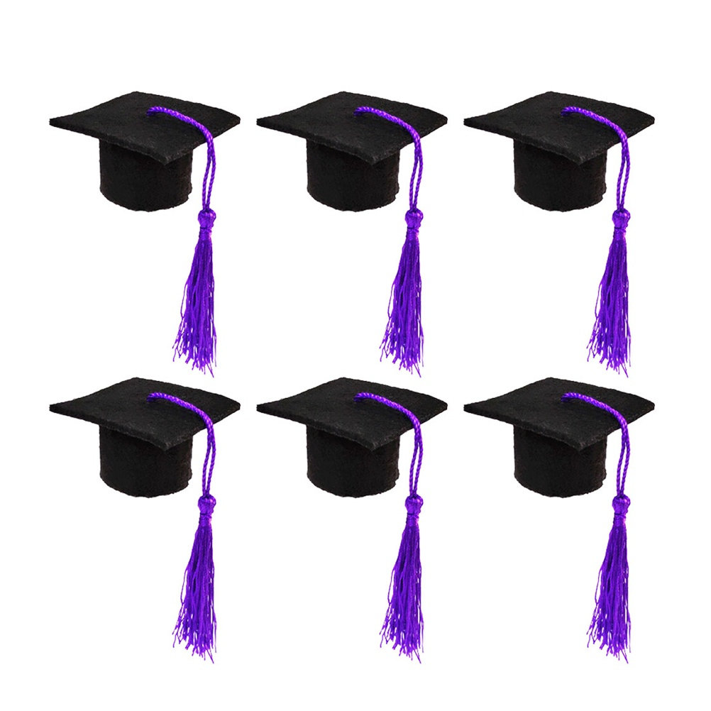 6Pcs Doctoral Wine Bottle Cap  - đánh giá và giá Wine Beer Hat
